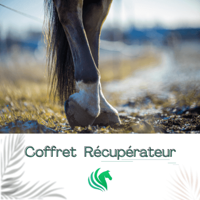 soin-récupérateur-cheval