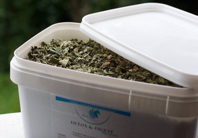 complément naturel cheval digestion