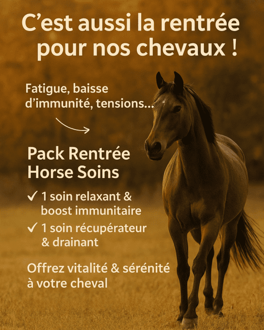 Pack rentrée