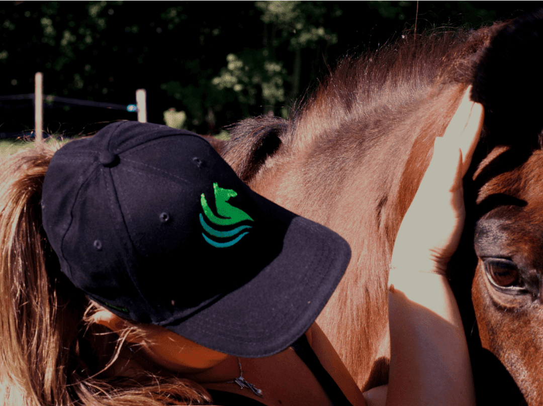 Massage thérapeutique équin Horse Soins pour récupération et bien-être du cheval Massage thérapeutique équin Horse Soins pour récupération et bien-être du cheval